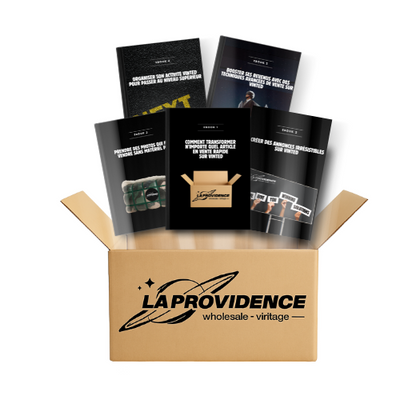 Pack 5 e-books revendeurs Vinted